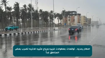 أمطار رعدية.. توقعات بهطولات غزيرة ورياح مثيرة للأتربة تضرب بعض المناطق غداً